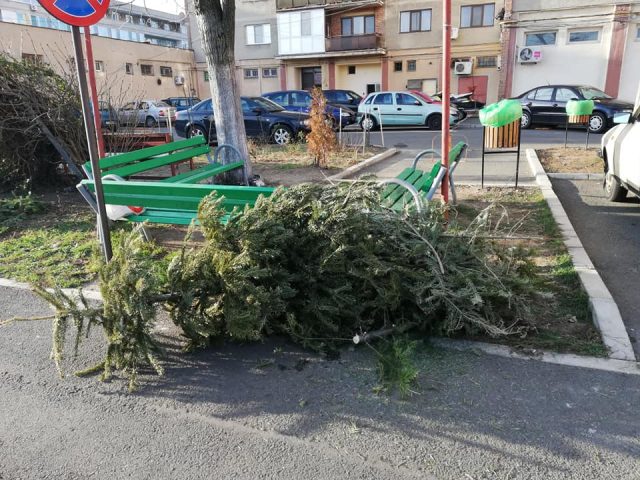 Sursă foto Vocea Străzii Arad România